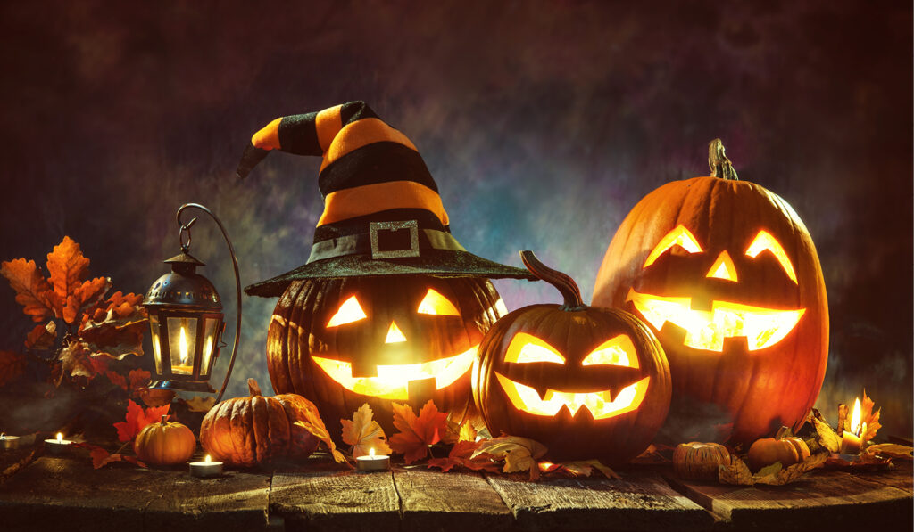 EVENT halloween2024 1 800 x 600